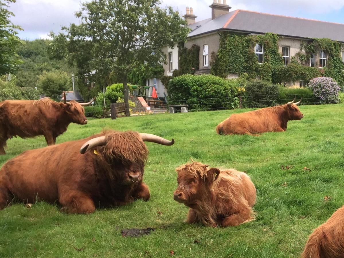 Glendine Country House Wexford Arthurstown エクステリア 写真